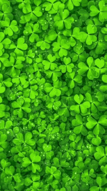 May Your Troubles Be Less Blessings Be More GIF - May Your Troubles Be Less Blessings Be More Happy St Patricks Day GIFs