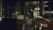 Limu Emu Moonchild Memes GIF - Limu Emu Moonchild Memes Liberty Mutual GIFs