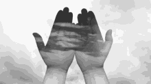 Hands GIF - Hands GIFs