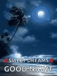 Sweet Dreams Good Night GIF - Sweet Dreams Good Night Beach GIFs