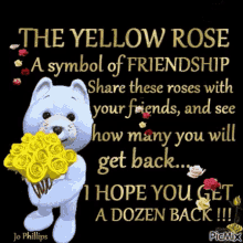 yellow rose friendship