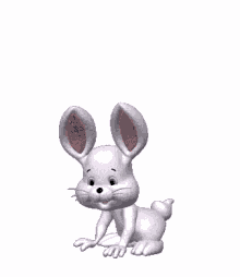 hopping rabbit