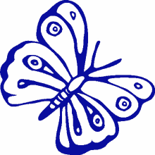 cyprus butterfly