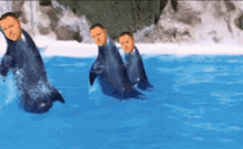 Thanks For All The Tag Gronps Thank You GIF - Thanks For All The Tag Gronps Thank You Dolphin GIFs