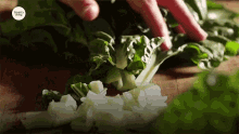 slicing cutting chopping vegetable greens