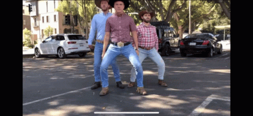 cowboys-thrust.gif