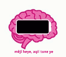 m%C3%AAj%C3%AEheye kurmanc%C3%AE kurd%C3%AE brain reason