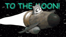 To The Moon Raccoons Raccoons To The Moon GIF - To The Moon Raccoons Raccoons To The Moon Raccoon To The Moon GIFs