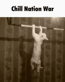 Chill Nation Hyper Nation GIF - Chill Nation Hyper Nation War GIFs