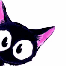 Gatopreto Cat GIF - Gatopreto Gato Preto GIFs