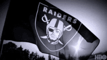 Raiders Flag GIF - Raiders Flag GIFs