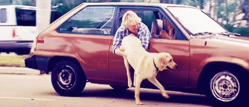 Owen W Ilson Going To The Vet GIF - Owen W Ilson Going To The Vet Marley And Me GIFs