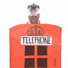 jukin telephone