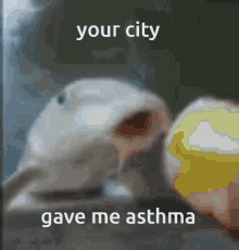 Wilbur Wilbur Soot GIF - Wilbur Wilbur Soot Your City Gave Me Asthma GIFs