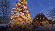 cabin holiday