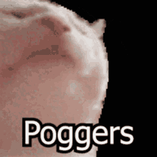 Poggers Cat GIF - Poggers Cat Depressed GIFs