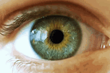 Pupil Vision GIF - Pupil Vision Eye GIFs