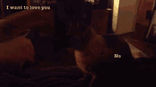 No Soup For You GIF - I Want To Love You No GIFs