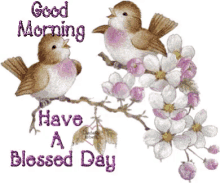 Birds Good Morning GIF - Birds Good Morning Have A Great Day GIFs