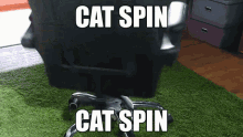 Cat Chair GIF - Cat Chair Spin GIFs
