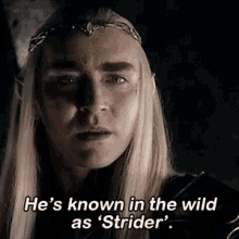 Thranduil Lord Of The Rings GIF - Thranduil Lord Of The Rings Strider GIFs