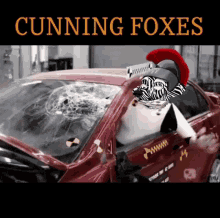 Cunningfoxes Foxs GIF - Cunningfoxes Cunning Foxes GIFs