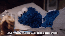Sesame Street Cookie Monster GIF - Sesame Street Cookie Monster Me Wish Me Could Close My Eyes GIFs