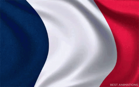 Animated French Flag Gifs Tenor