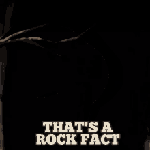 thats a rock fact rock fact over the garden wall garden wall for%C3%AAt de l%C3%A9trange thats a rock fact rock fact over the garden wall garden wall for%C3%AAt de l%C3%A9trange