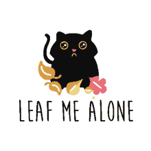 leaf me alone black cat cat kitten kitty