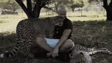 Spotted Cheetah Dean Schneider GIF - Spotted Cheetah Dean Schneider Cuddle GIFs