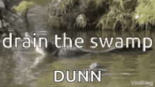drain swamp