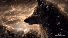 Dog Wolf GIF - Dog Wolf Magnificent GIFs