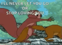 squirrel love hug ill never let you go or stop loving you ill never let you go squirrel love hug ill never let you go or stop loving you ill never let you go