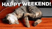 Have A Good Weekend Happy Weekend GIF - Have A Good Weekend Happy Weekend Cute Cat GIFs