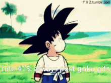 Goku Rules GIF - Goku Rules GIFs