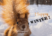 happy winter snow winter squirrel happy winter snow winter squirrel