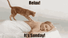 Relaxing Cat GIF - Relaxing Cat Massaging GIFs