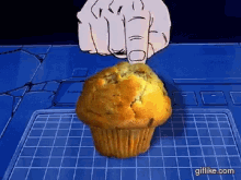 Muffin Button Muffins GIF - Muffin Button Muffins GIFs
