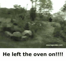 gorilla oven cooking gorilla oven cooking
