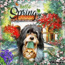 Hello Spring Cute GIF - Hello Spring Cute Dog GIFs