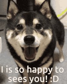 So Happy To See You Happy To See You Ollie GIF - So Happy To See You Happy To See You Ollie Yay Ollie GIFs
