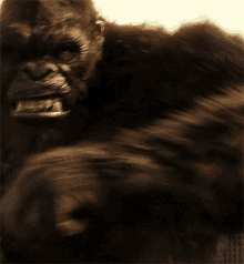 Hulk King Kong GIF - Hulk King Kong Rawr GIFs