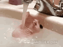 Naked Mole Rat Rat Taking A Bath GIF - Naked Mole Rat Rat Taking A Bath Shower Day GIFs