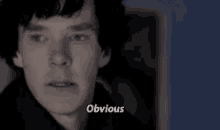 Obviously GIF - Sherlock Benedict Cumberbatch Obvious GIFs