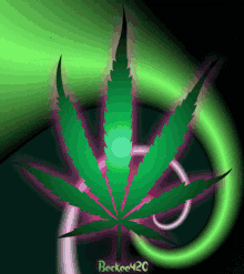 Weed Have A Smokin Day GIF - Weed Have A Smokin Day Marijuana GIFs