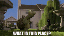 Over The Hedge Verne GIF - Over The Hedge Verne What Is This Place GIFs