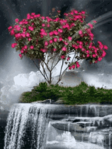 Flowers Water GIF - Flowers Water Waterfall GIFs