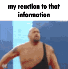My Reaction To That Information Meme GIF - My Reaction To That Information Meme Big Show GIFs