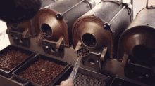 four barrel beans drinks coffee coffee roasting